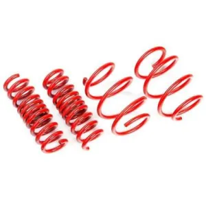 AST Suspension Lowering Springs - Toyota Supra (A90)