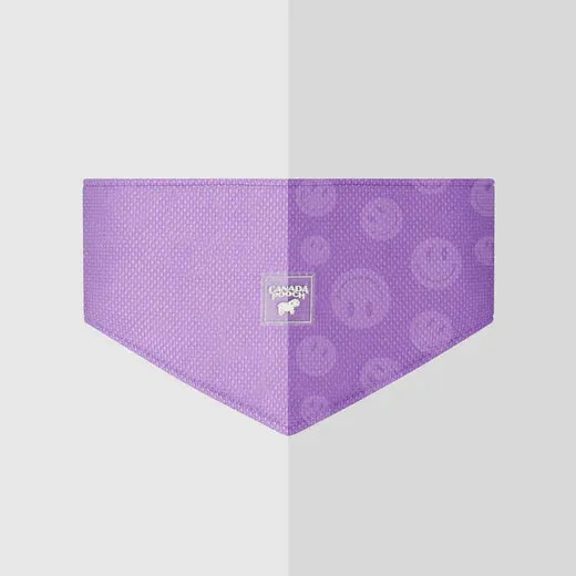 Canada Pooch Cooling Bandana Wet Reveal