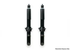 DOBINSONS 2.2" IMS MONOTUBE STRUT - IMS19-50098