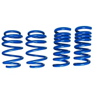 Steeda Mustang Lowering Springs -  Ultimate Handling Dual Rate Springs  (2015-2024 )